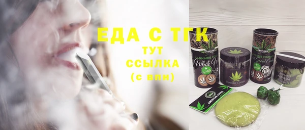индика Нягань