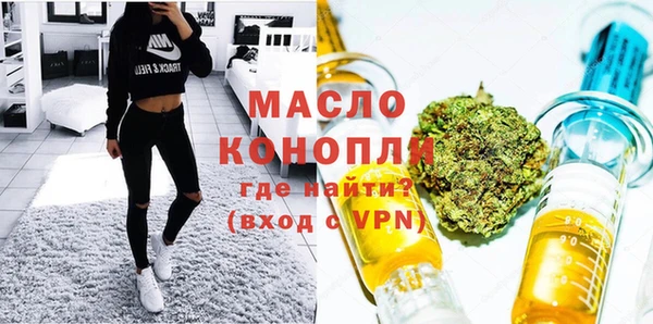 индика Нягань