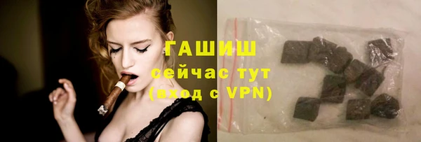 индика Нягань