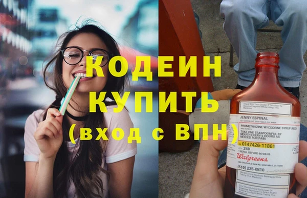 индика Нягань