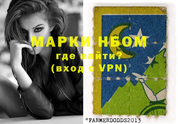 индика Нягань