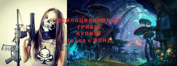 ALPHA-PVP Няндома