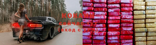 дживик Болхов