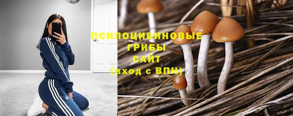 индика Нягань