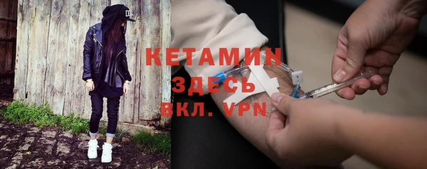 индика Нягань