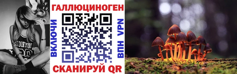 Галлюциногенные грибы Psilocybine cubensis  Аргун 