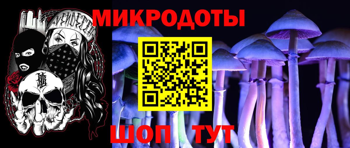 Аргун  Псилоцибиновые грибы Psilocybe  Псилоцибиновые грибы Cubensis  Вход с VPN 