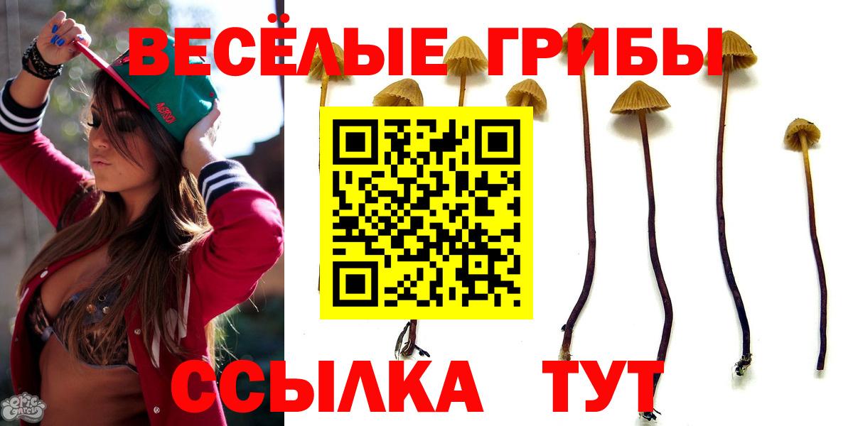 Галлюциногенные грибы Psilocybe Аргун