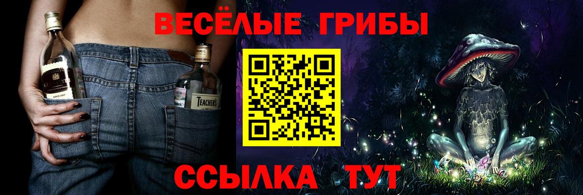 Псилоцибиновые грибы Psilocybe Аргун